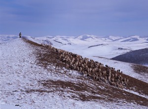 Зима на равнинах Башан