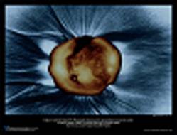 Еженедельный обзор шанхайских галерей и выставок, выпуск IV Еженедельный обзор шанхайских галерей и выставок, выпуск IV