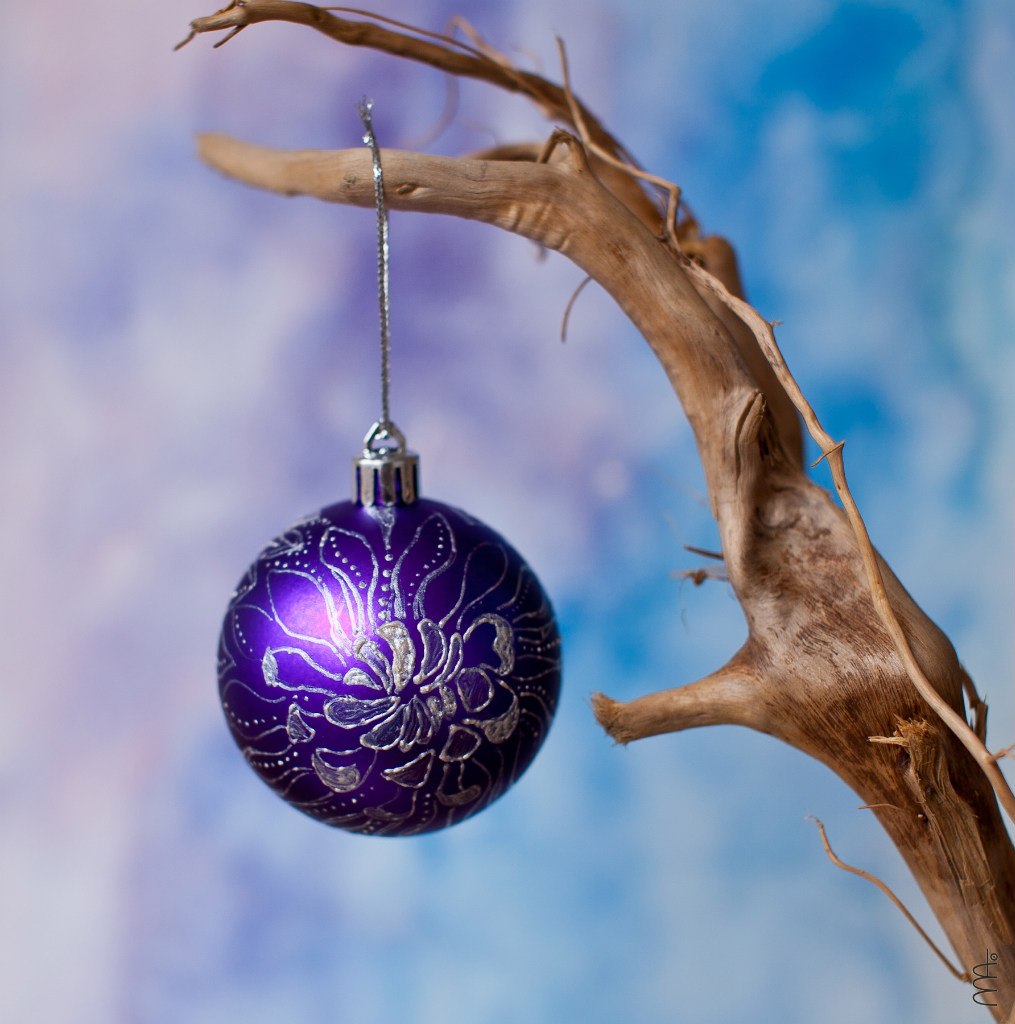 АНОНСЫ Русского образовательного центра на 21.12.2013